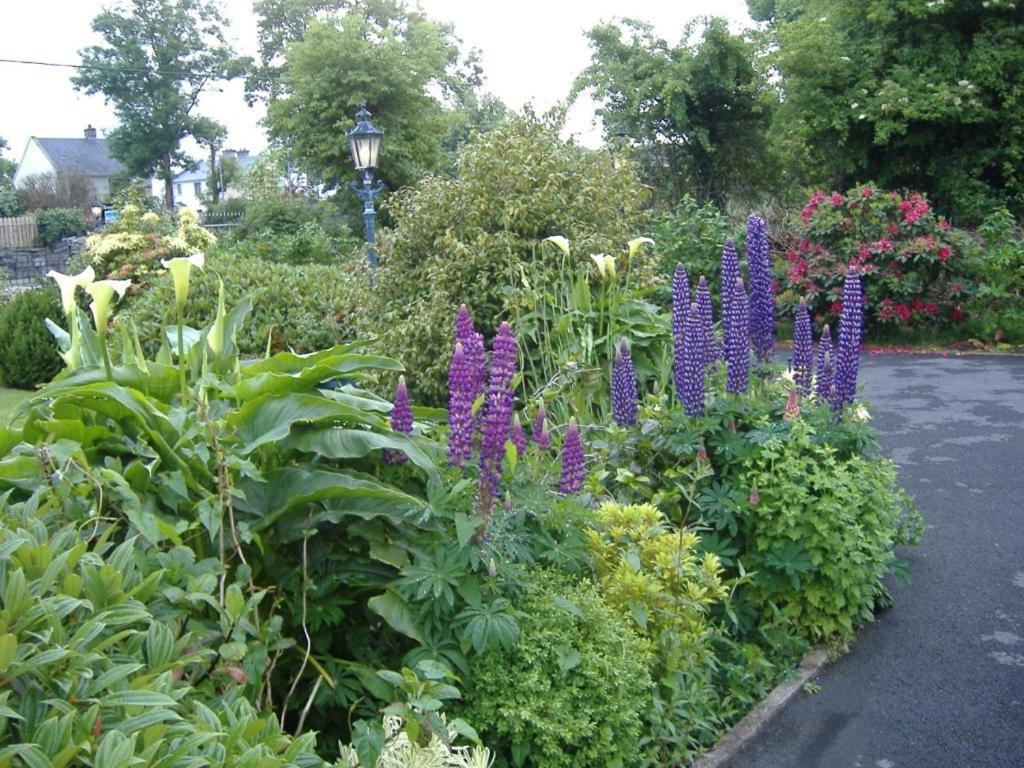 Riverwalk House B&B อูคเทอราร์ด ภายนอก รูปภาพ